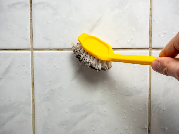 Best Home Mold Removal  in Norwood, NC