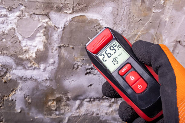 Best Affordable Mold Removal  in Norwood, NC