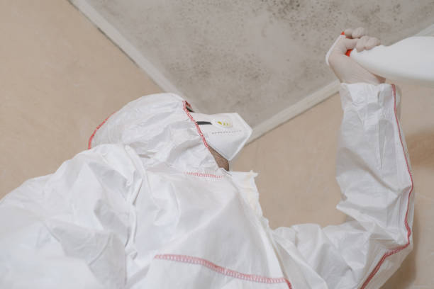 Best Home Mold Removal  in Norwood, NC