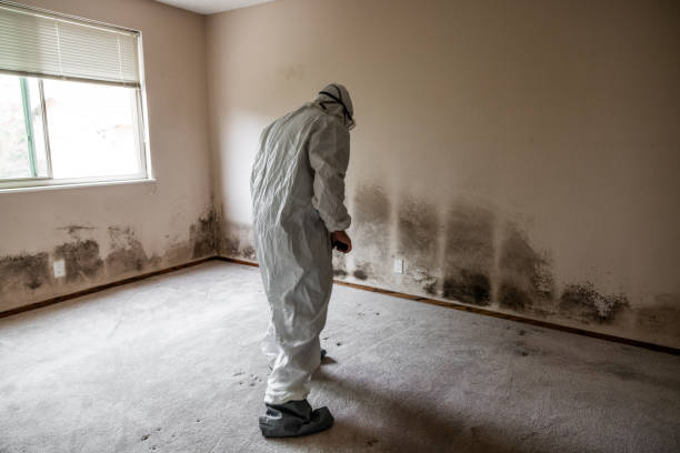 Best Professional Mold Removal  in Norwood, NC