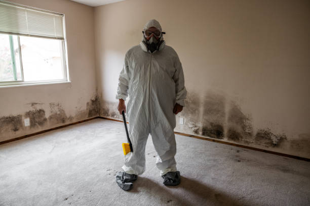Office Mold Removal Services in Norwood, NC