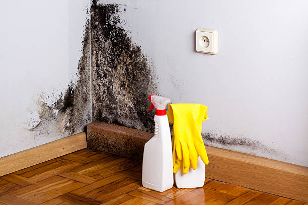 Best Mold Testing  in Norwood, NC